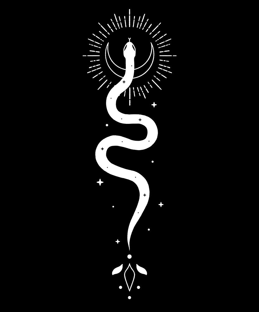 Celestial Snake Black art print by XYZ Studio for $57.95 CAD