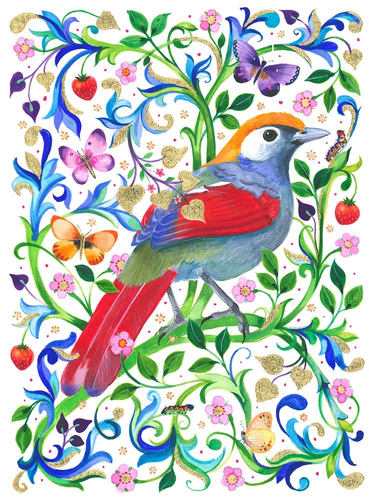 Red Tailed Laughing Thrush Artwork 600 Dpi Re Worked art print by Isabelle Brent for $57.95 CAD