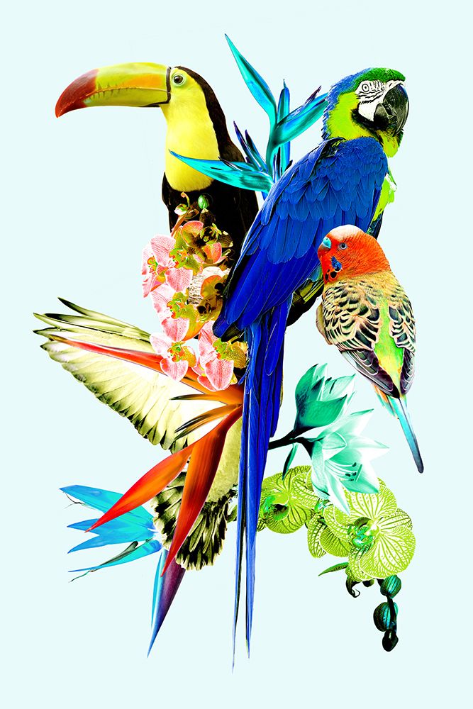 Birds of Paradise II art print by Gemma Bardot for $57.95 CAD