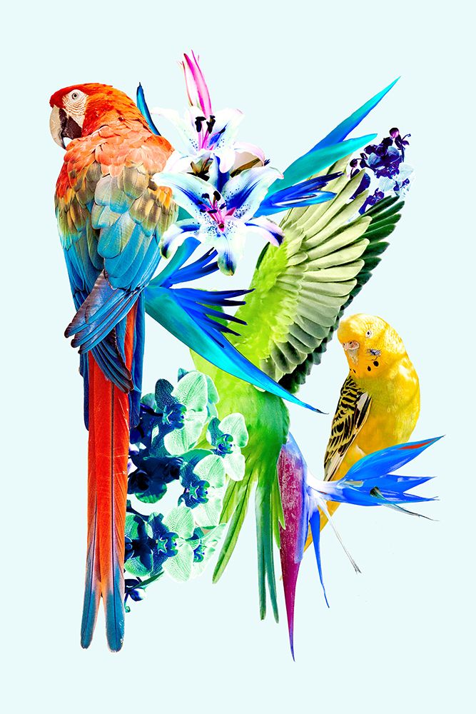 Birds of Paradise I art print by Gemma Bardot for $57.95 CAD