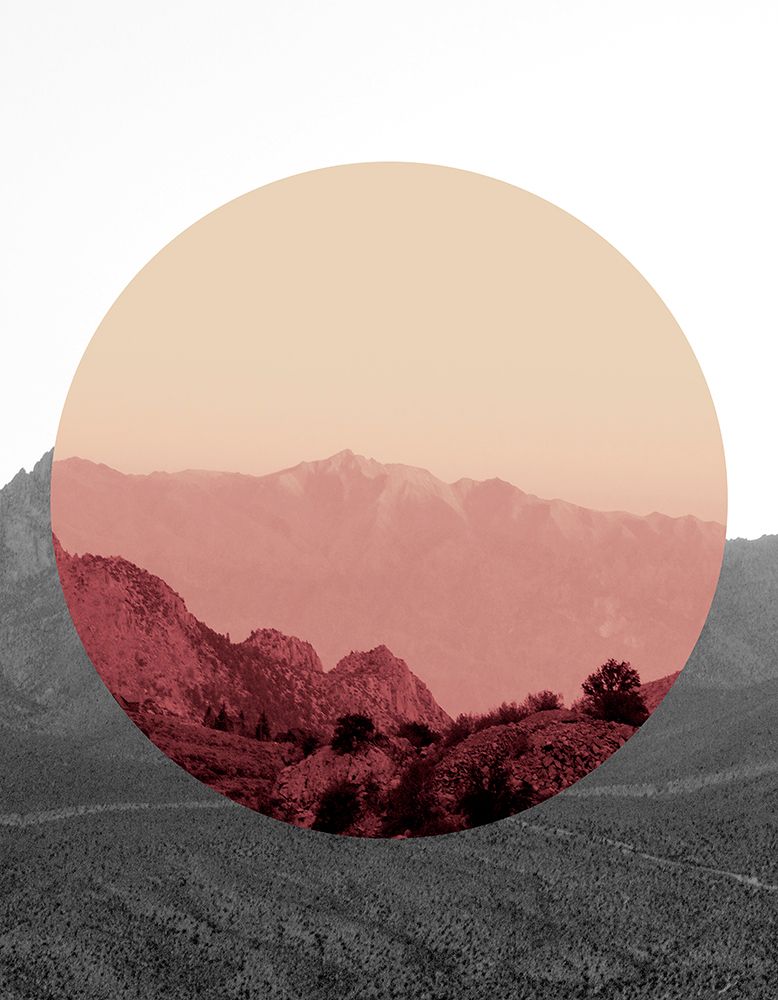 Shapes In Nature IV art print by Gemma Bardot for $57.95 CAD