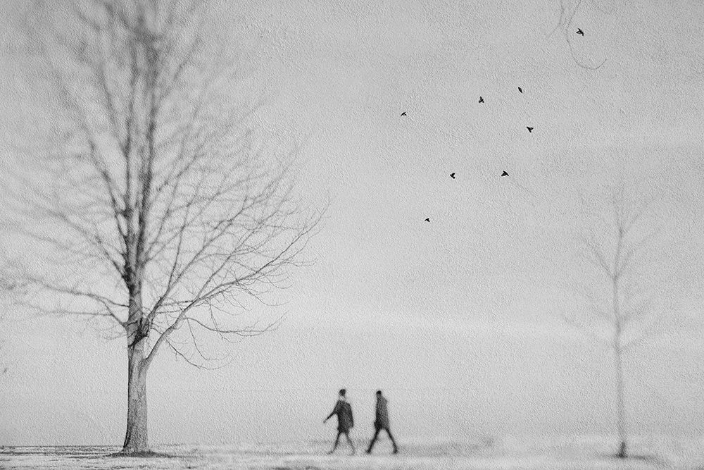 A quite moment art print by Cindy Liu for $57.95 CAD