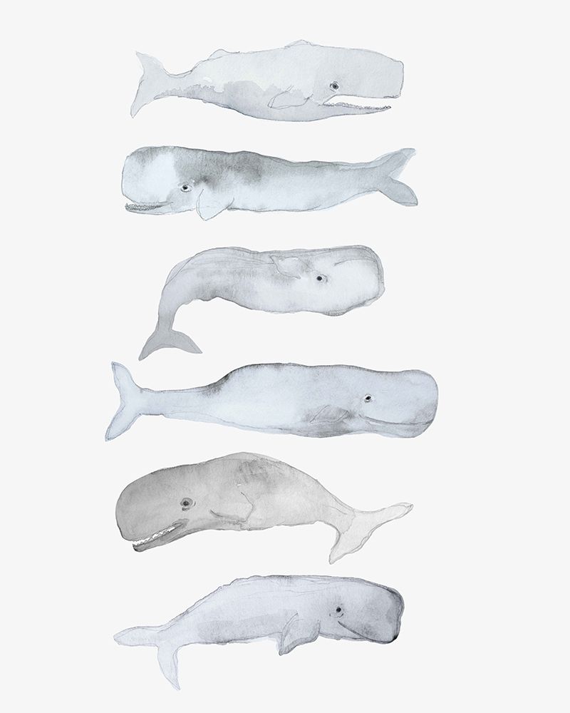Kids Line Whale Art art print by Gemma Bardot for $57.95 CAD