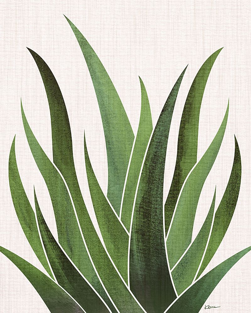 Desert Agave 3 art print by Kristian Gallagher for $57.95 CAD