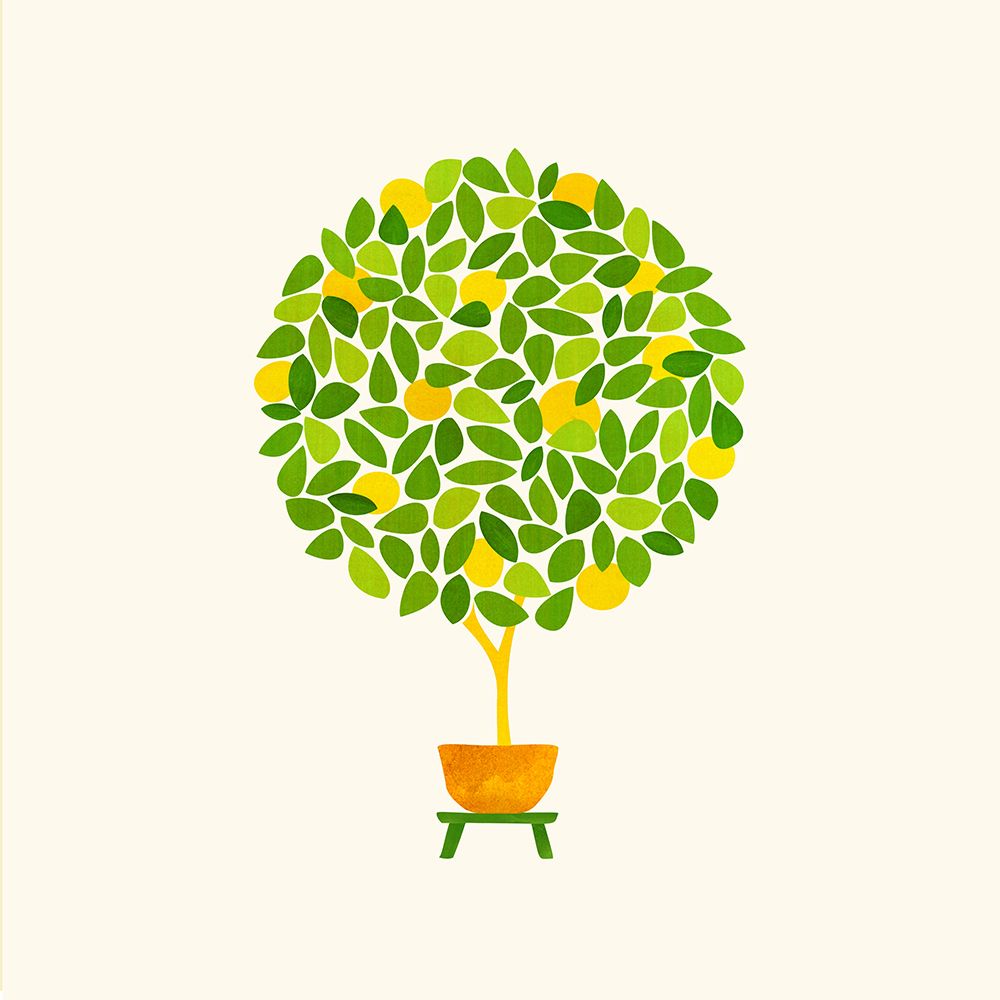 Lemon Tree Topiary 2 art print by Kristian Gallagher for $57.95 CAD