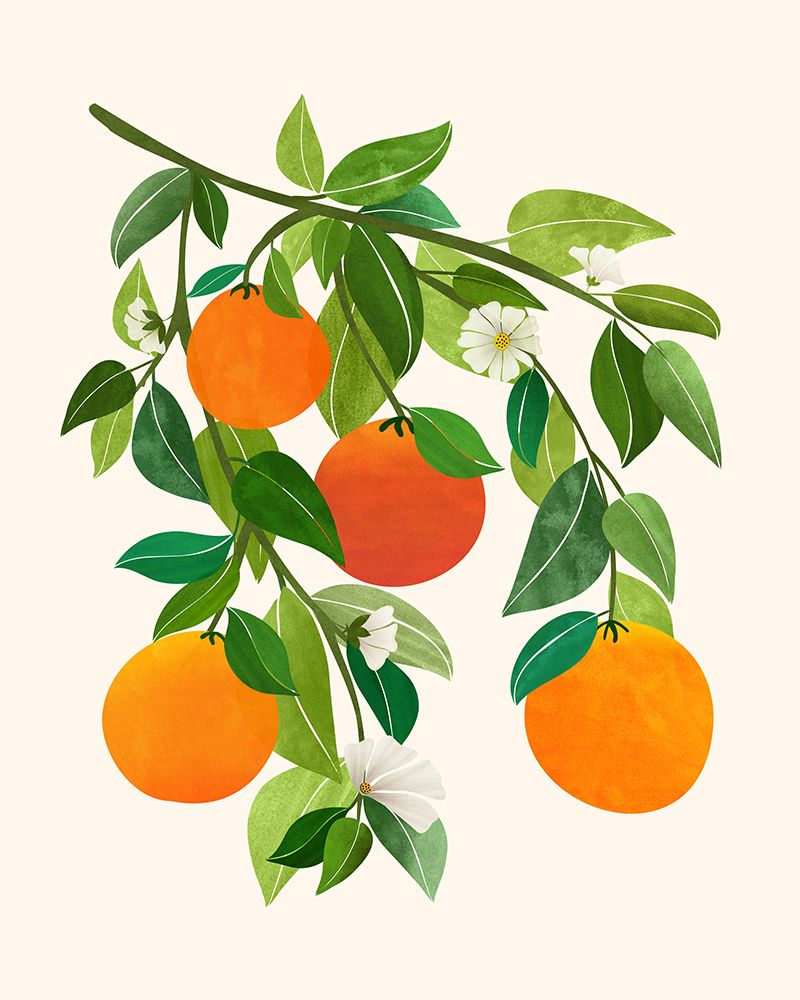 Oranges and Blossoms Ii art print by Kristian Gallagher for $57.95 CAD