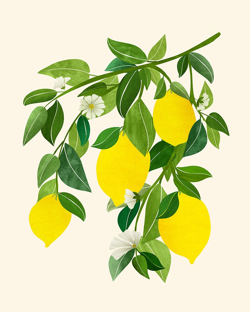 Sunny Lemons 4x5 art print by Kristian Gallagher for $57.95 CAD