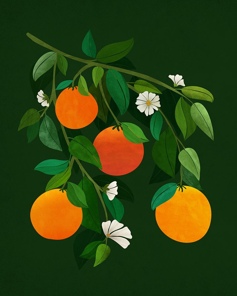 Oranges and Blossoms Night art print by Kristian Gallagher for $57.95 CAD