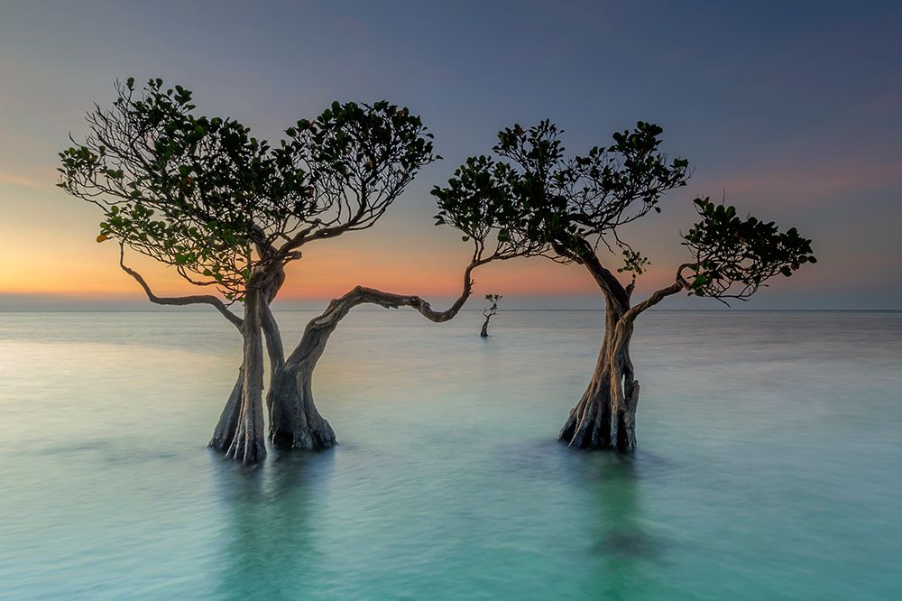 in between art print by Arief Siswandhono for $57.95 CAD