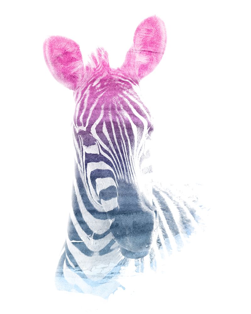 0006 Animal Watercolor art print by Emiliano Deificus for $57.95 CAD