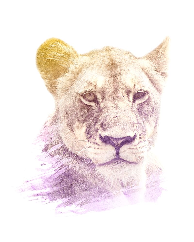 0008 Animal Watercolor art print by Emiliano Deificus for $57.95 CAD