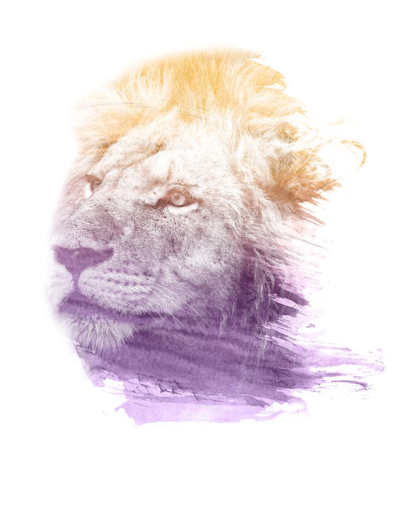 0004 Animal Watercolor art print by Emiliano Deificus for $57.95 CAD