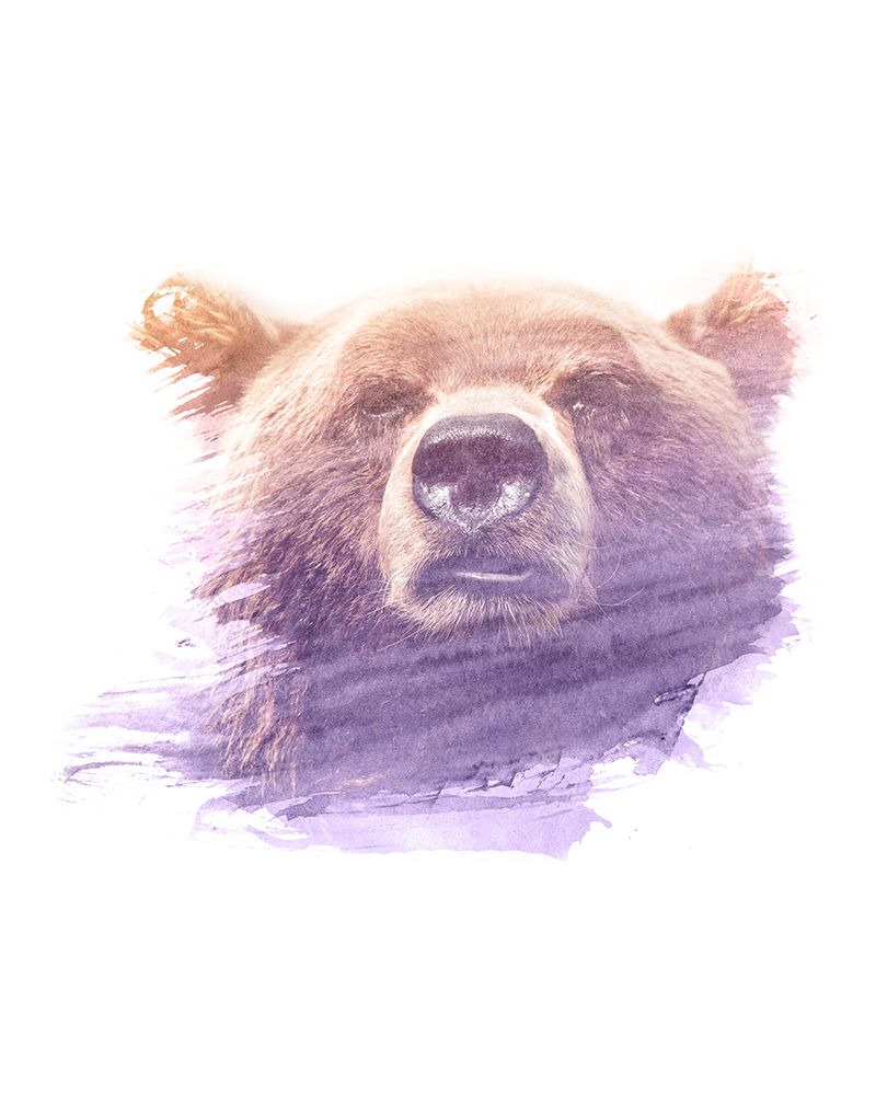0002 Animal Watercolor art print by Emiliano Deificus for $57.95 CAD