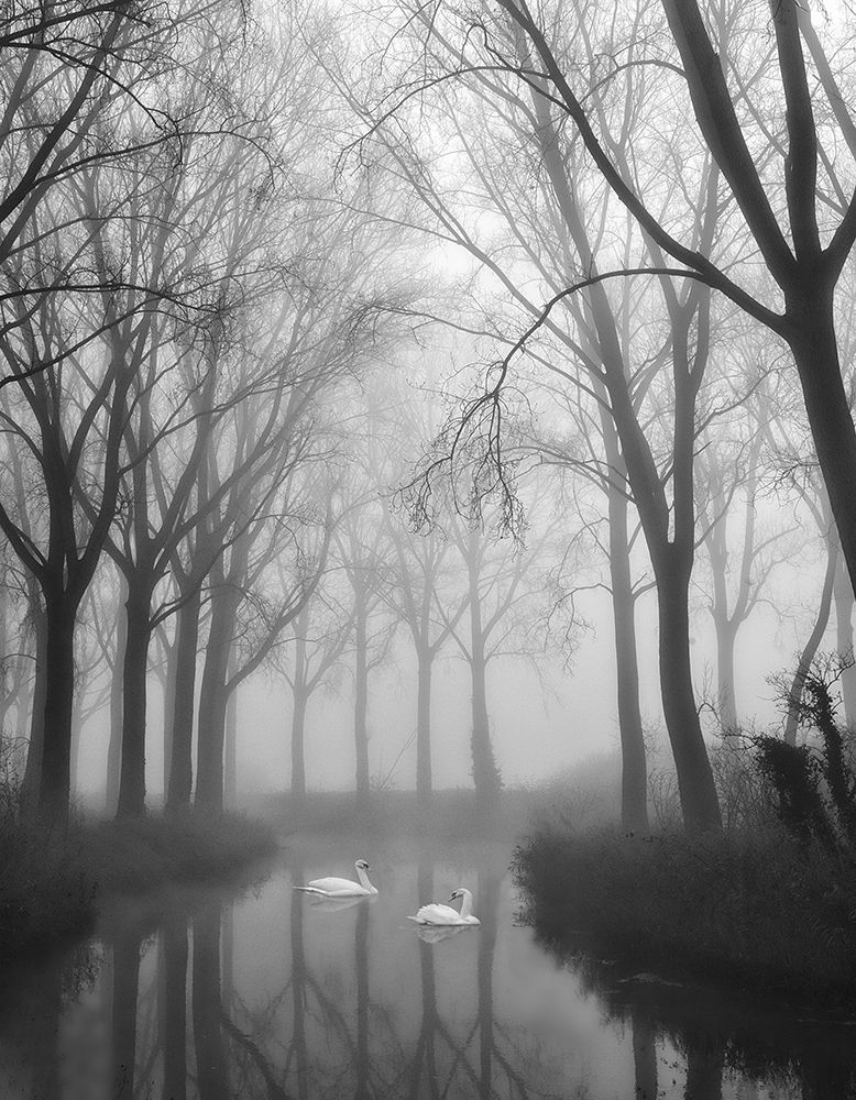 Draped in softness... art print by Yvette Depaepe for $57.95 CAD