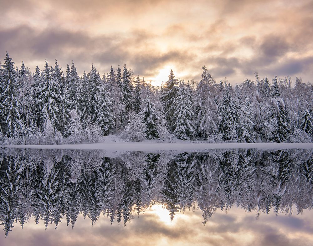 Winters reflection art print by Christian Lindsten for $57.95 CAD