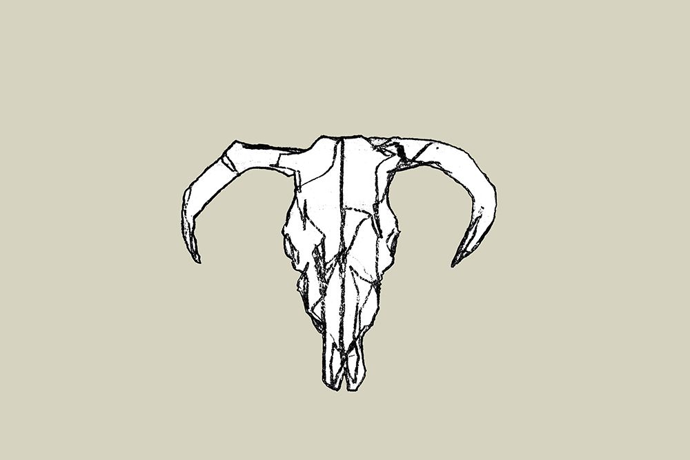 Animal Skull No2 art print by Cartissi for $57.95 CAD