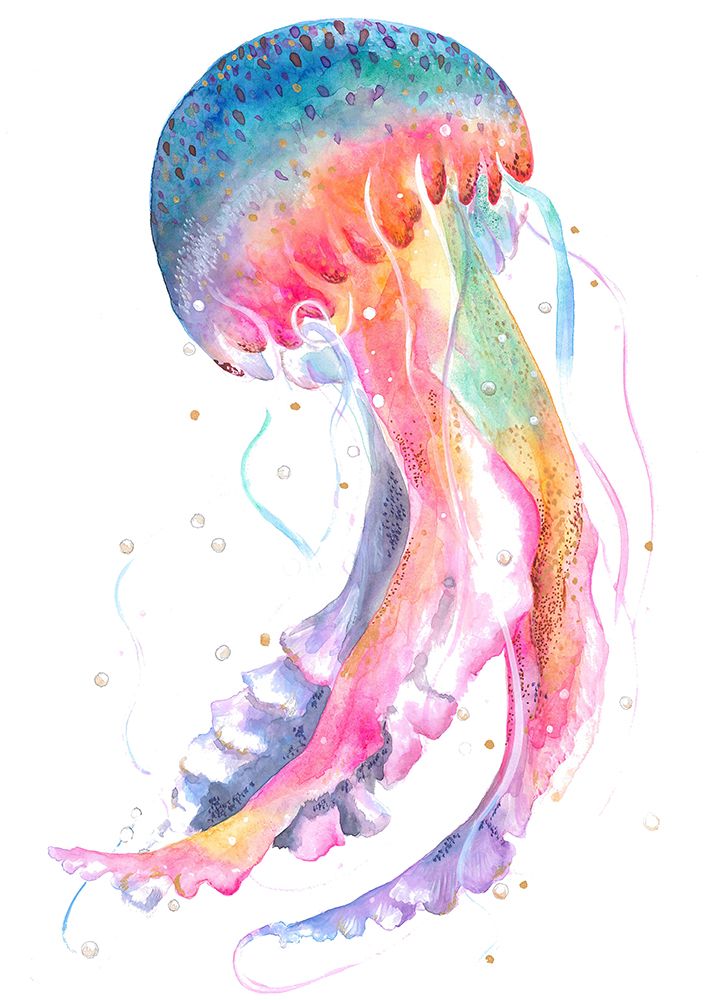 Jellyfish art print by Isabelle Brent for $57.95 CAD