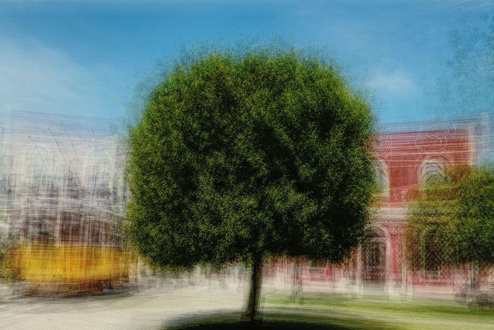 Tree in Portugal art print by Gregor Szalay for $57.95 CAD