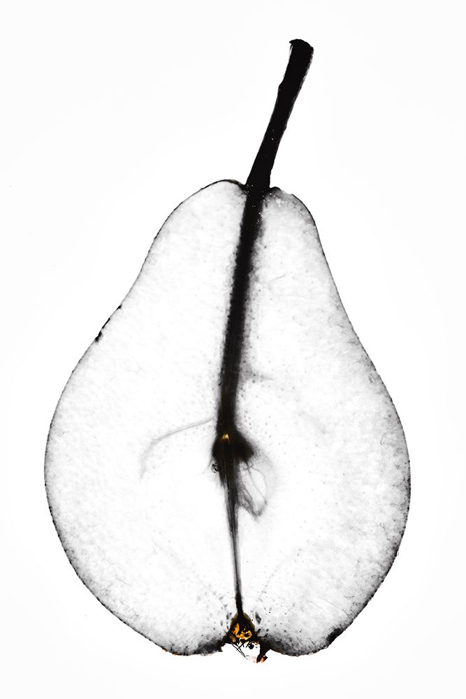 Pear art print by Magda Izzard for $57.95 CAD