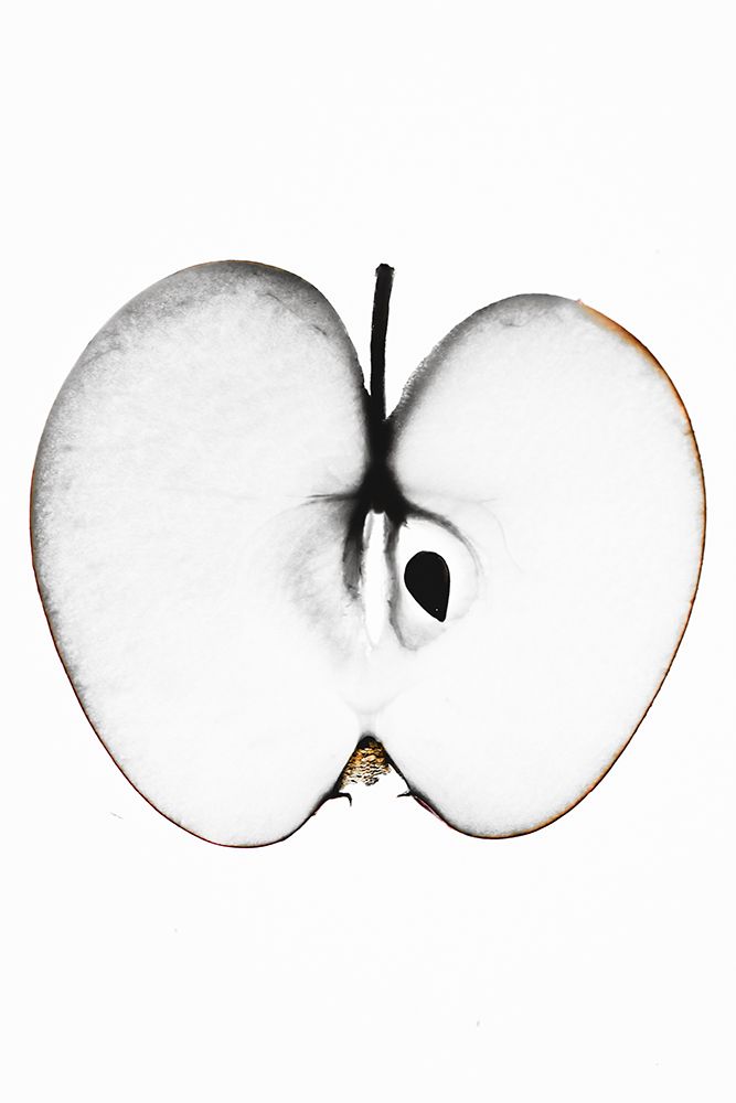 Apple art print by Magda Izzard for $57.95 CAD