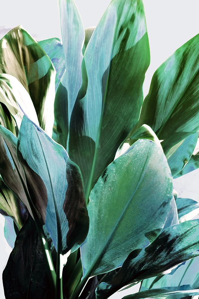 Green Leaves I art print by Gemma Bardot for $57.95 CAD