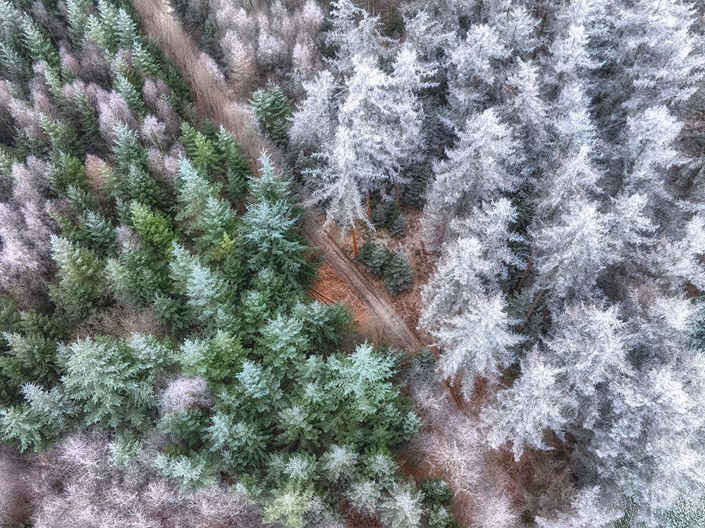 Winter art print by Guy Krier for $57.95 CAD