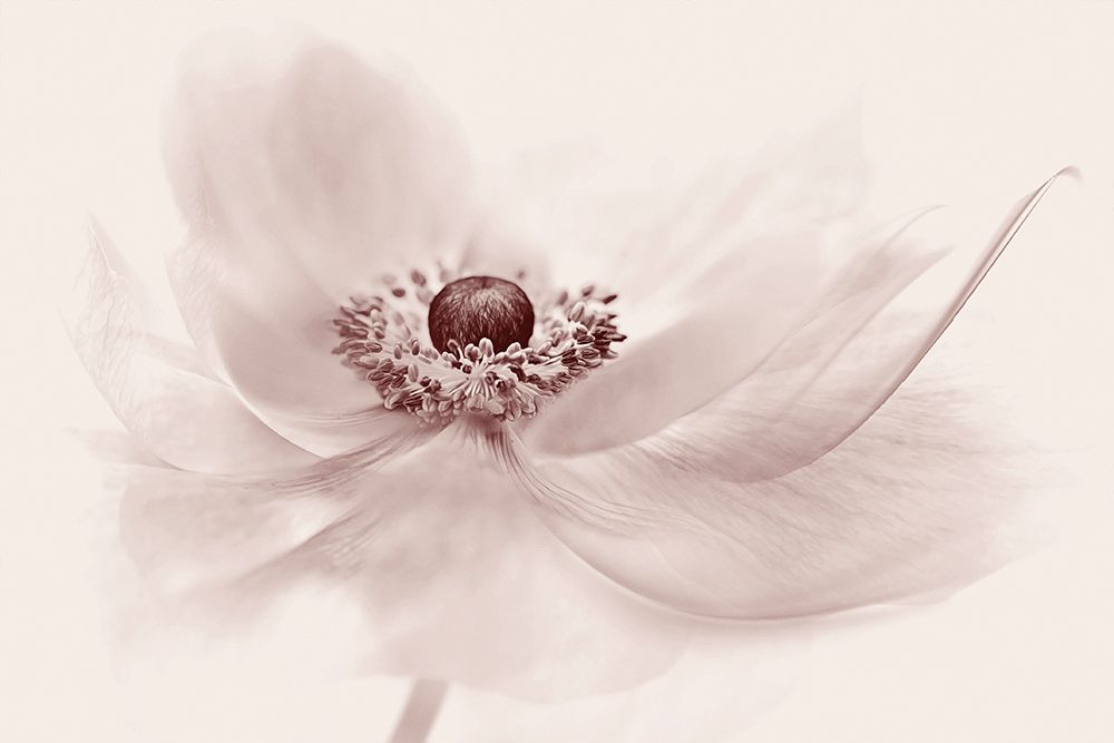 Nostalgia art print by Jacky Parker for $57.95 CAD