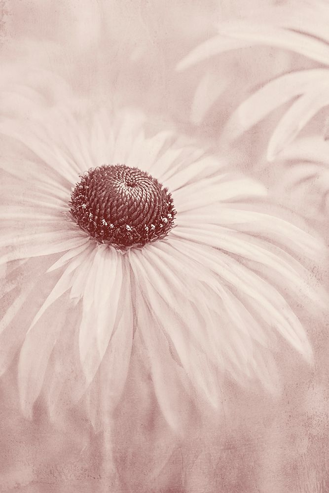 Reminiscence art print by Jacky Parker for $57.95 CAD