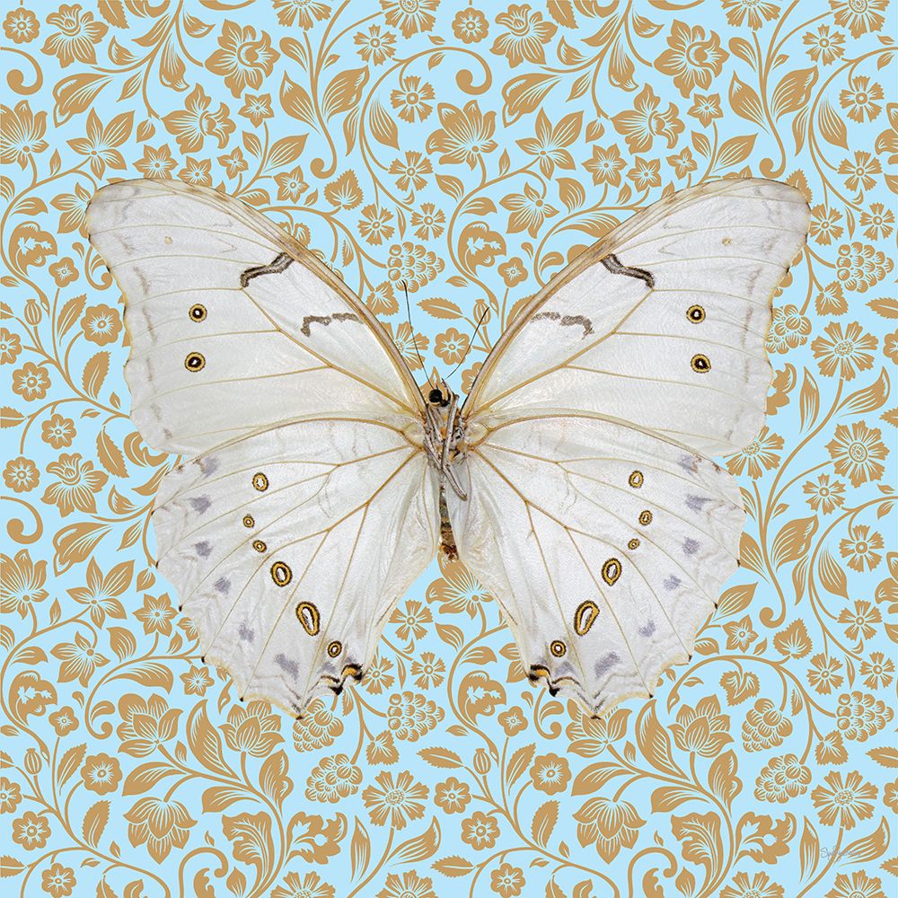 Butterfly #2 art print by Sue Skellern for $57.95 CAD