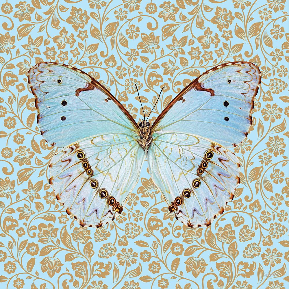 Butterfly #3 art print by Sue Skellern for $57.95 CAD