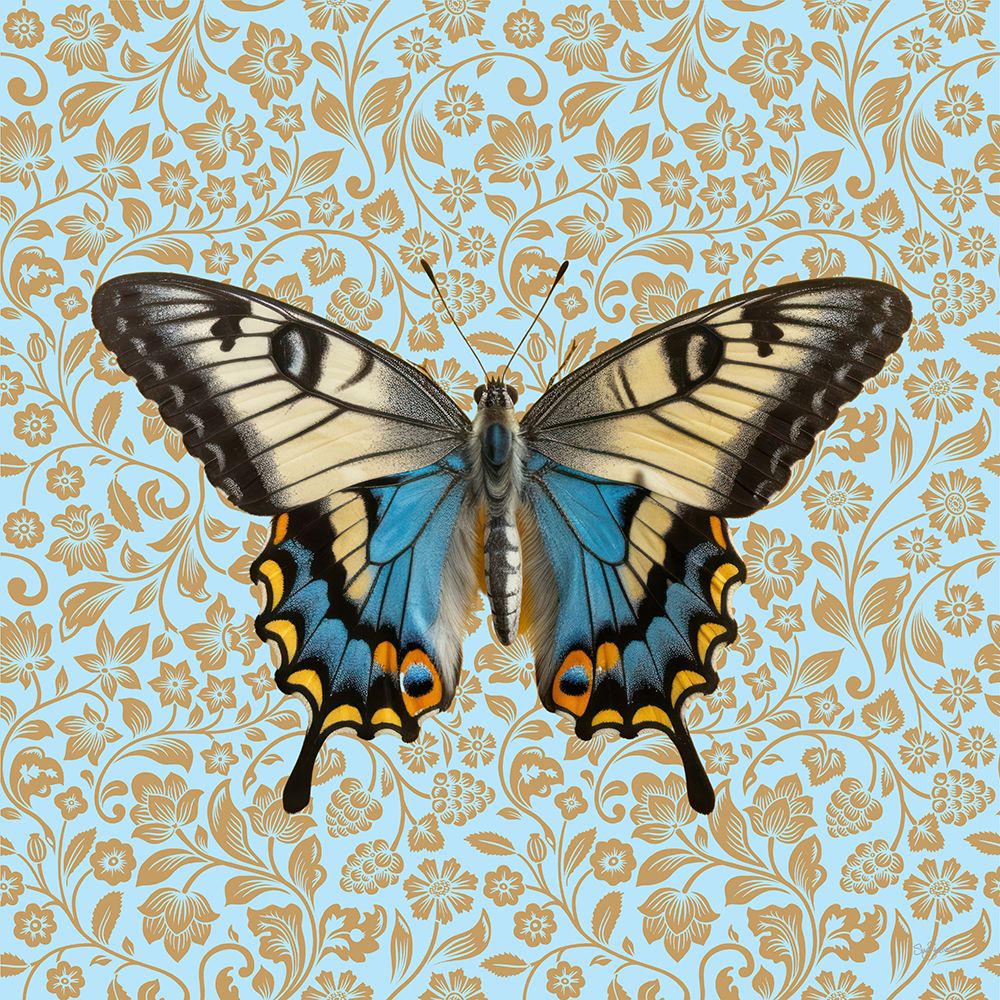 Butterfly #7 art print by Sue Skellern for $57.95 CAD