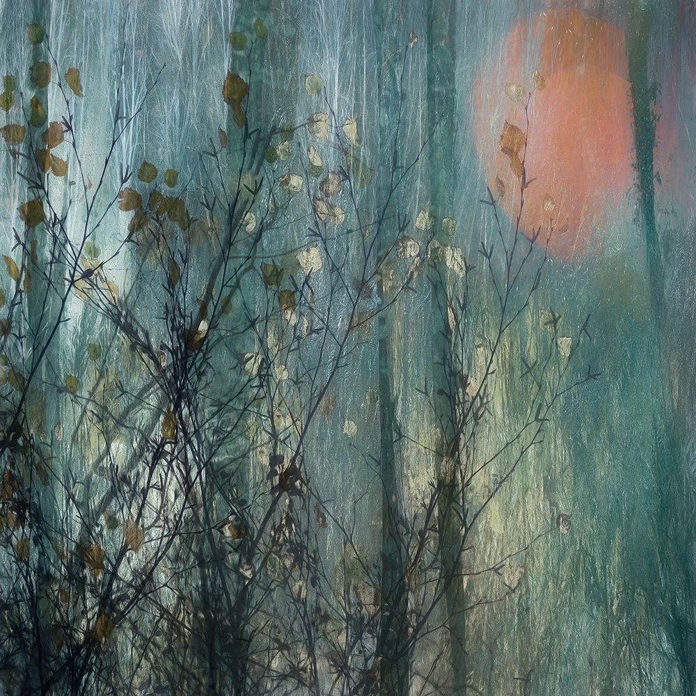 Full moon art print by Nel Talen for $57.95 CAD