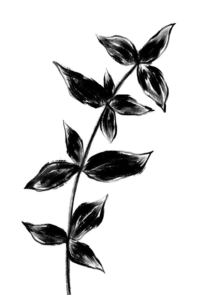 Black Plant1 art print by Martina for $57.95 CAD
