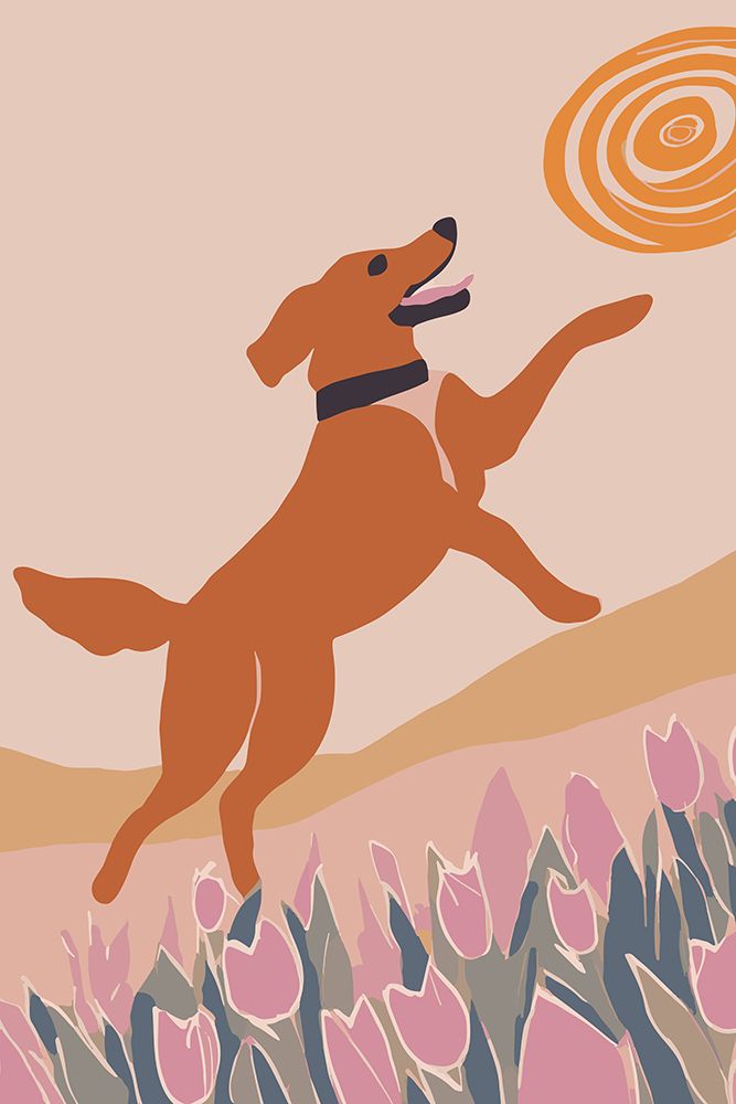Frisbee Dog art print by Andreas Magnusson for $57.95 CAD