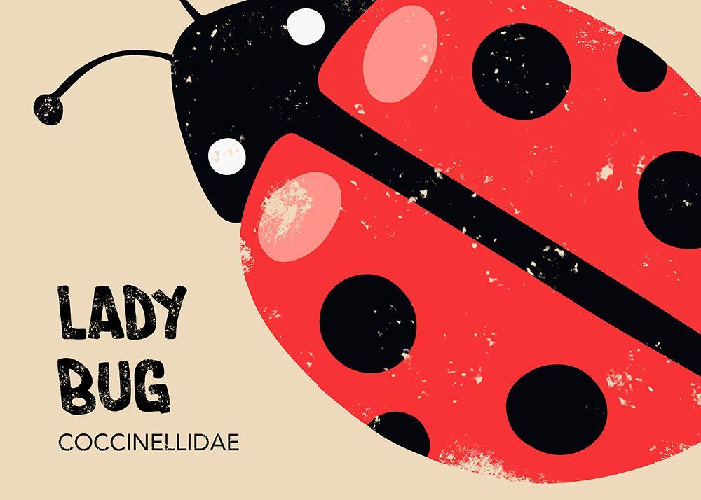 Lady Bug art print by Andreas Magnusson for $57.95 CAD
