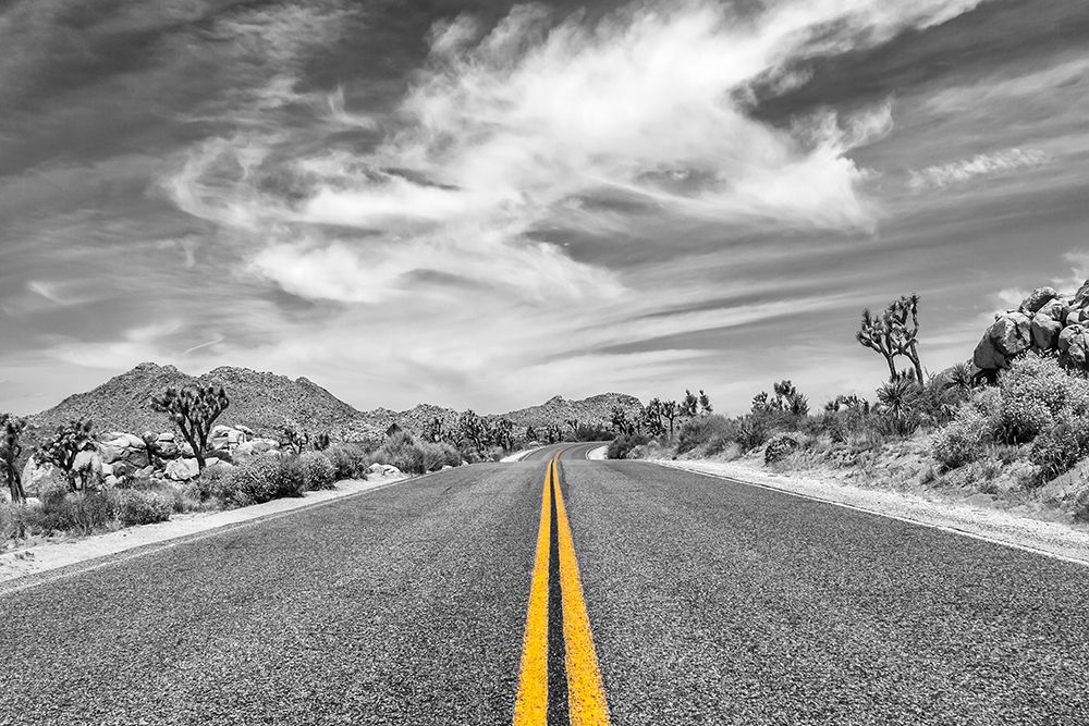 Park Boulevard art print by Melanie Viola for $57.95 CAD