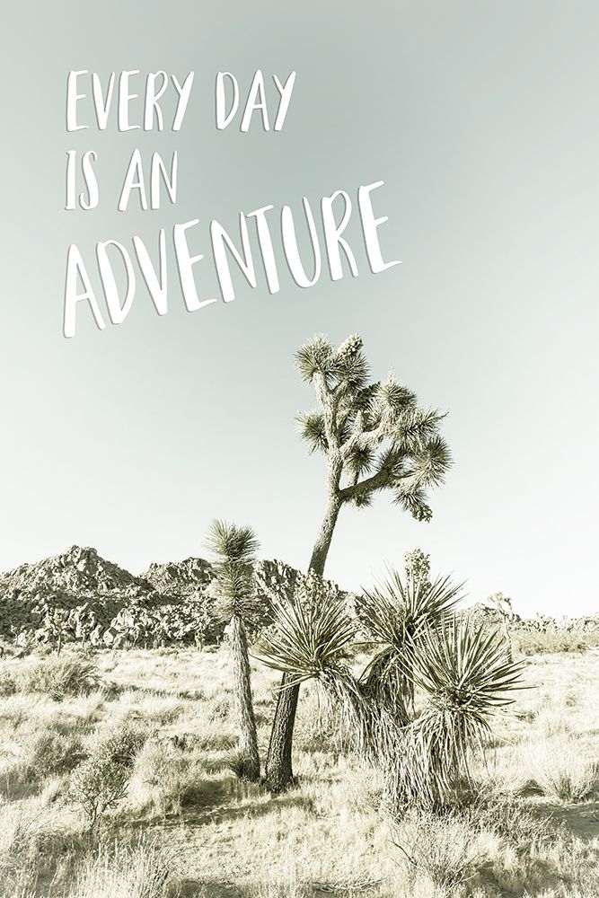Every day is an adventure | Desert impression art print by Melanie Viola for $57.95 CAD
