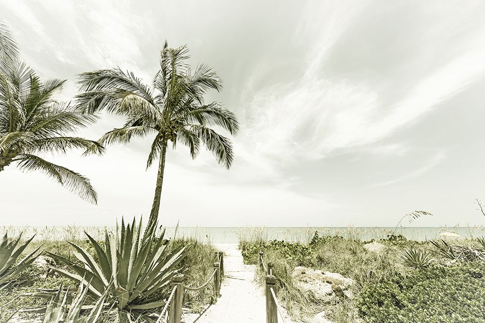 Alone at the beach art print by Melanie Viola for $57.95 CAD
