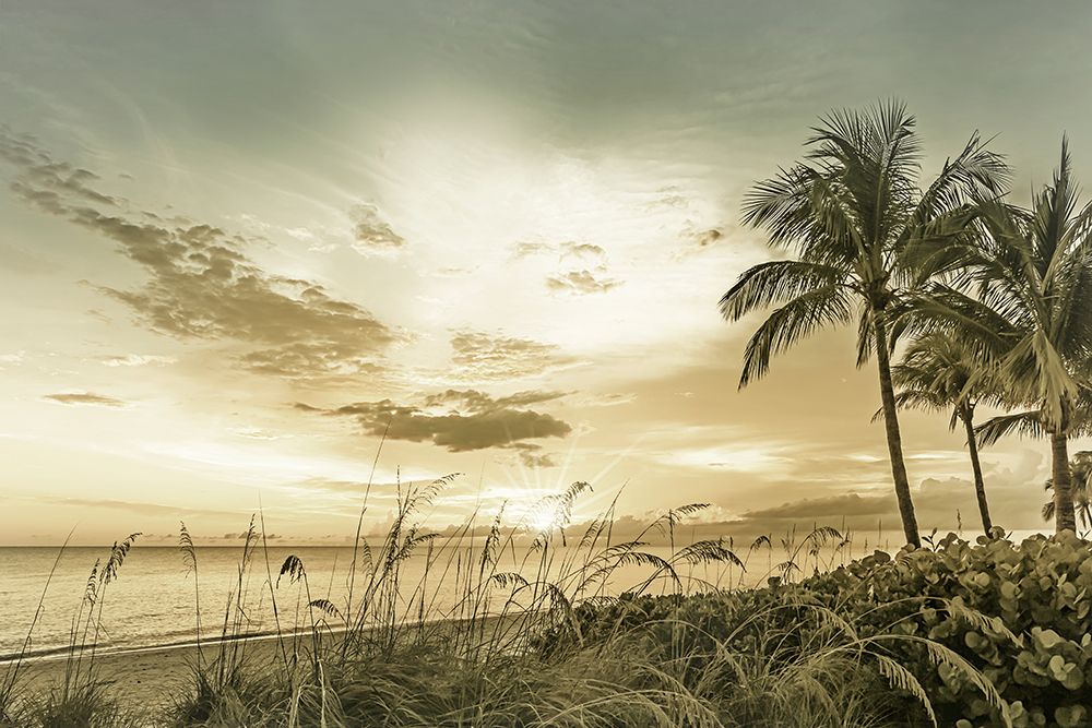 BONITA BEACH Sunset art print by Melanie Viola for $57.95 CAD