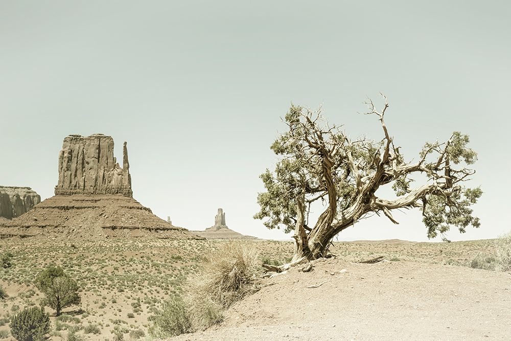 MONUMENT VALLEY Vintage West Mitten Butte and Tree art print by Melanie Viola for $57.95 CAD