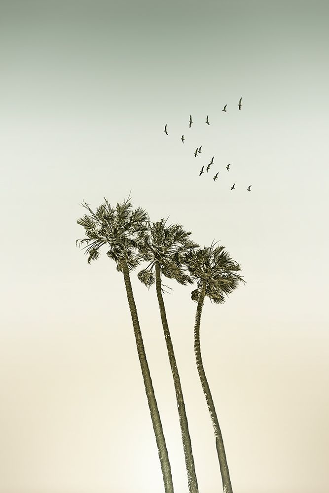 Vintage minimalist palm trees a sunset art print by Melanie Viola for $57.95 CAD