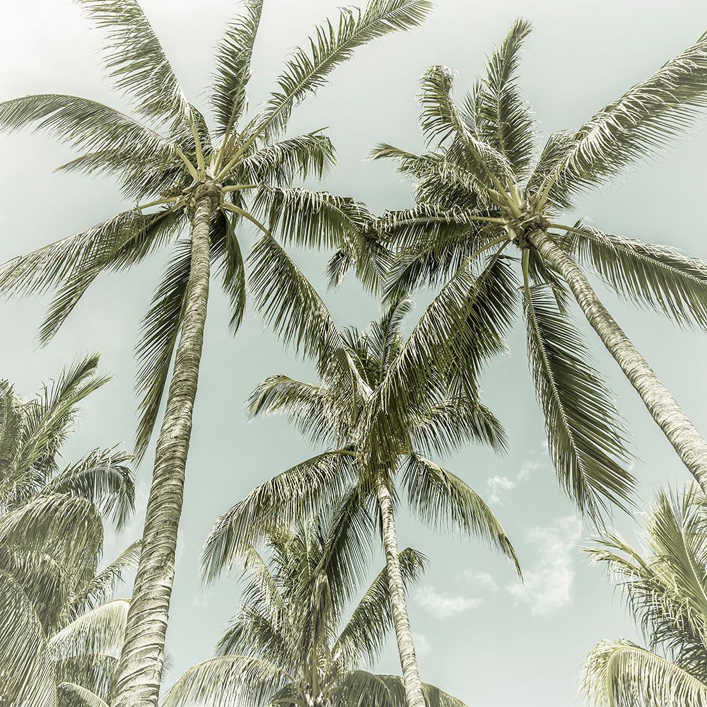 Lovely Vintage Palm Trees art print by Melanie Viola for $57.95 CAD