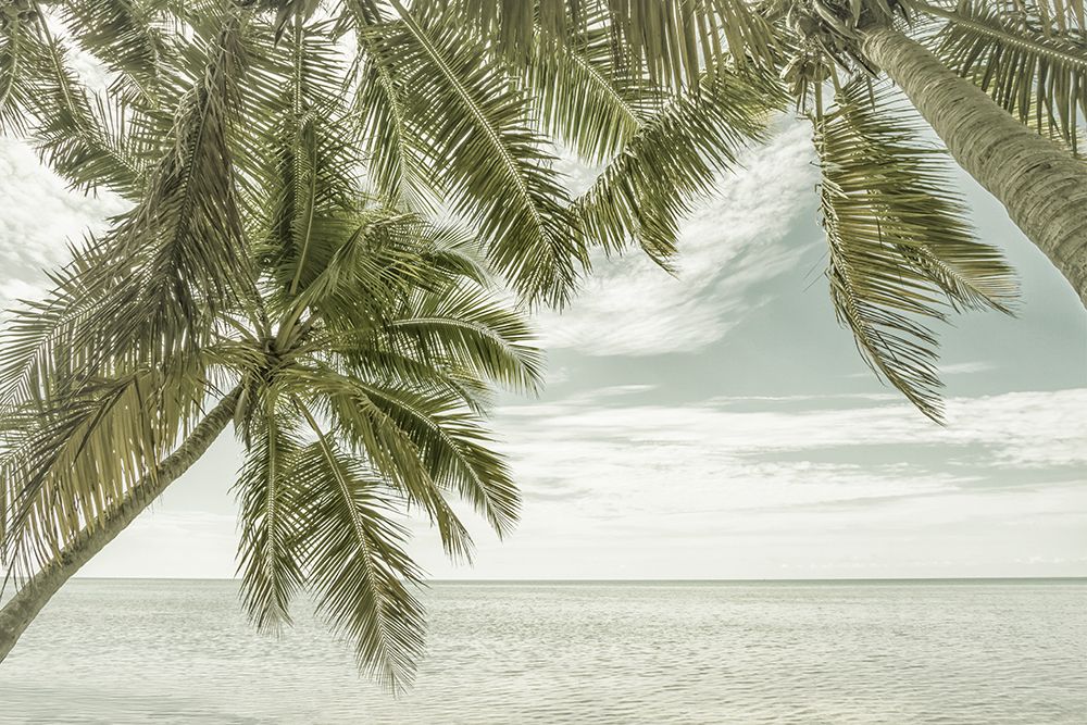 FLORIDA Vintage Oceanview art print by Melanie Viola for $57.95 CAD