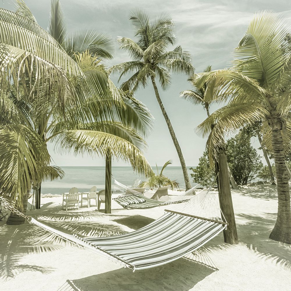 FLORIDA Heavenly Place art print by Melanie Viola for $57.95 CAD