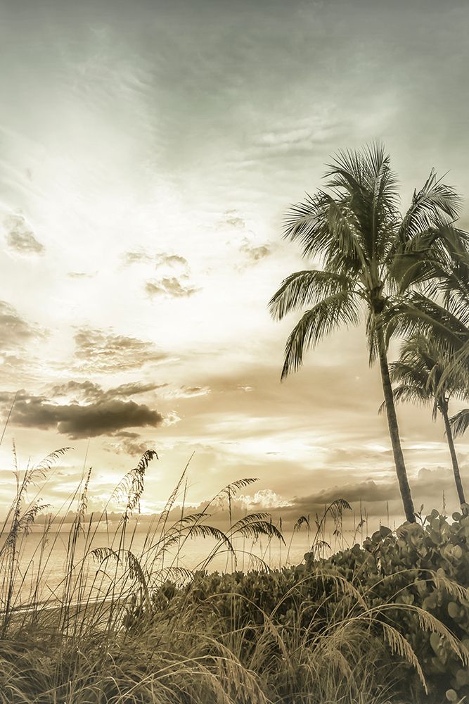BONITA BEACH Vintage Sunset art print by Melanie Viola for $57.95 CAD