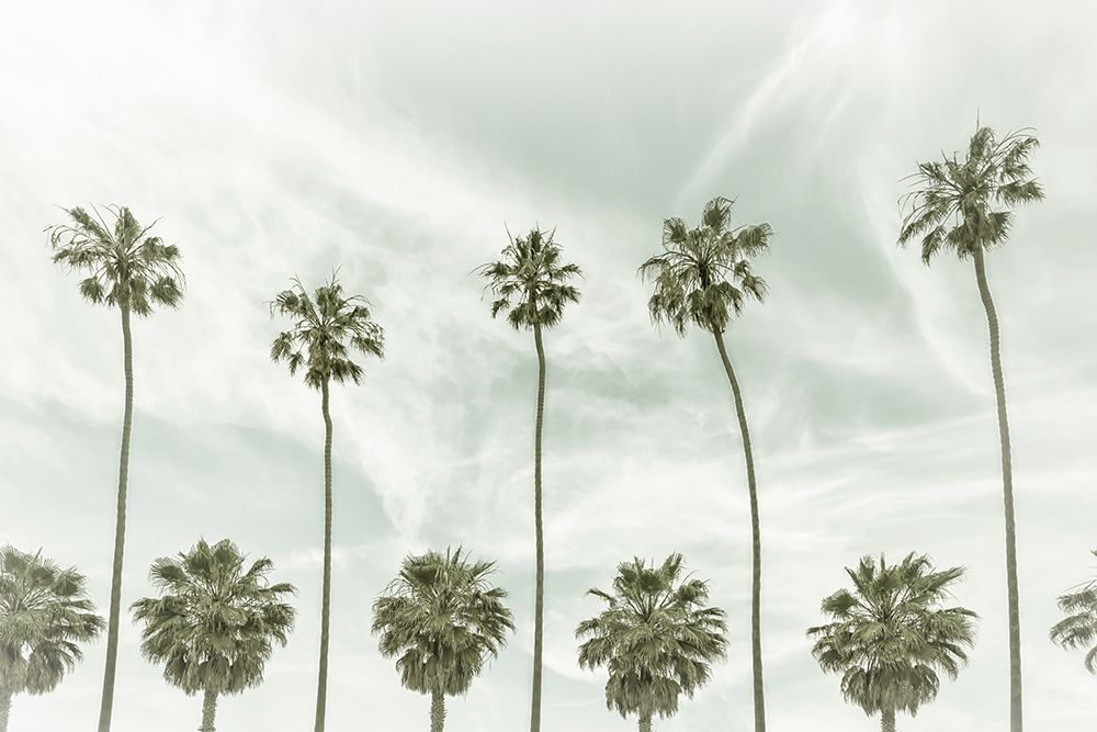 California vintage palm trees art print by Melanie Viola for $57.95 CAD