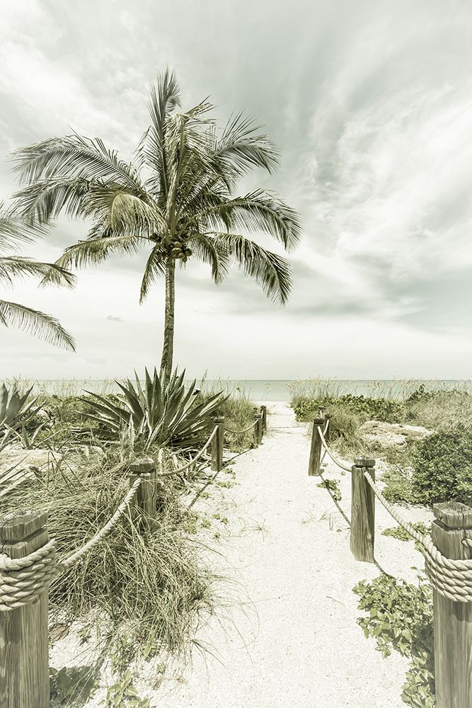 Vintage path to the beach art print by Melanie Viola for $57.95 CAD