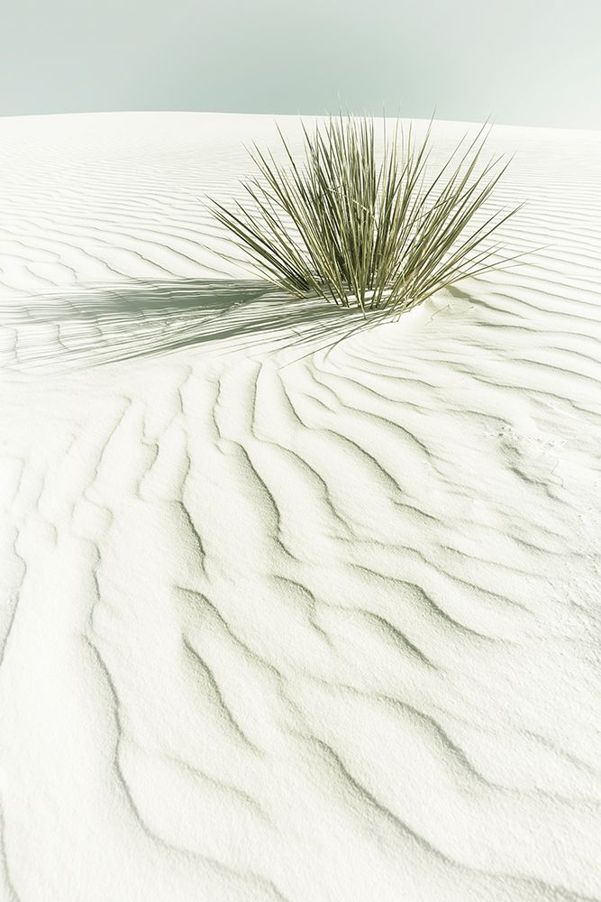 WHITE SANDS Idyllic vintage scenery art print by Melanie Viola for $57.95 CAD