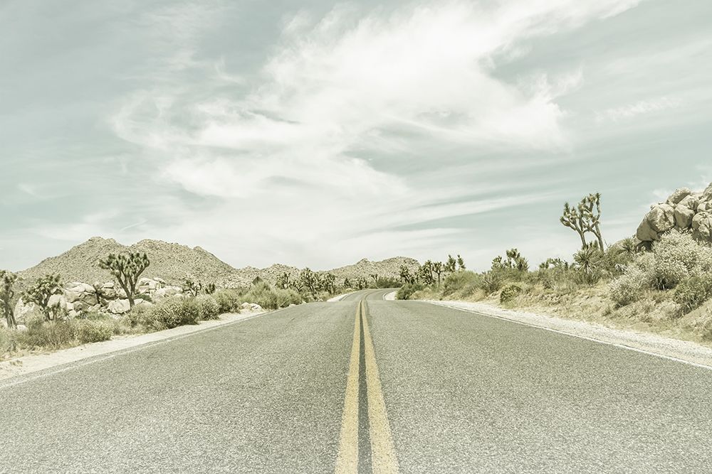 Vintage Joshua Trees art print by Melanie Viola for $57.95 CAD