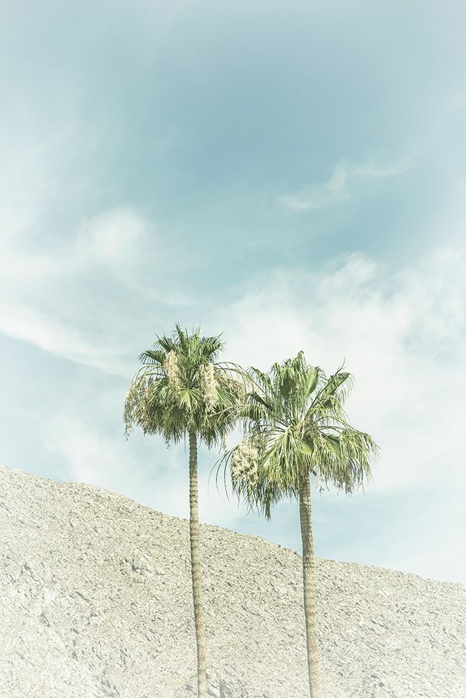 Vintage Palm Trees in the desert art print by Melanie Viola for $57.95 CAD